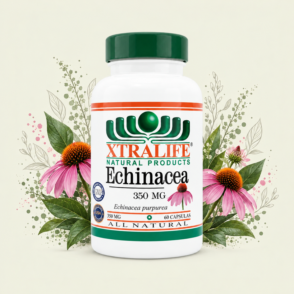 Echinacea Purpurea Capsule Xtralife